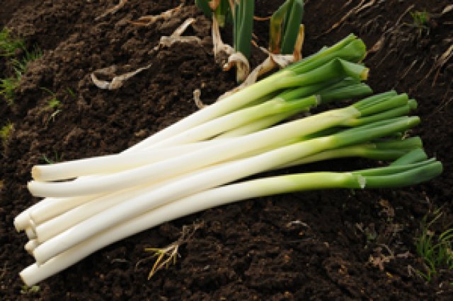 計画性のある農業