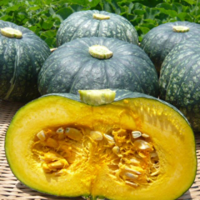 おいしい江戸崎かぼちゃを選ぶコツ