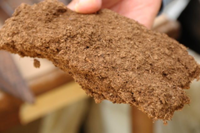 ブルーベリーと共に40年3