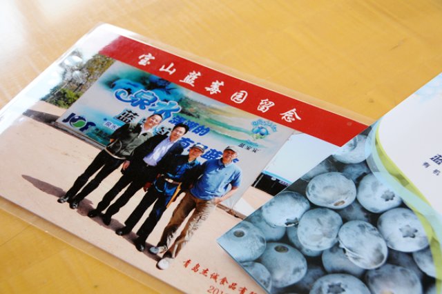 ﾌﾞﾙｰﾍﾞﾘｰﾏｲｽﾀｰ1