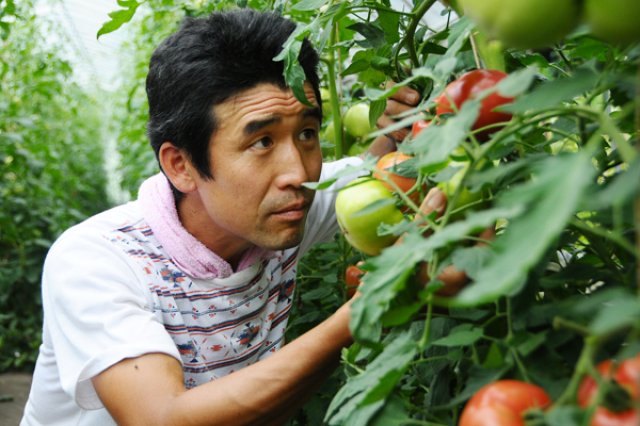 たくさんの種類の野菜