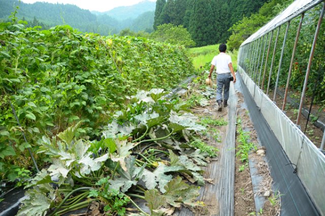 技術やモチベーションの向上