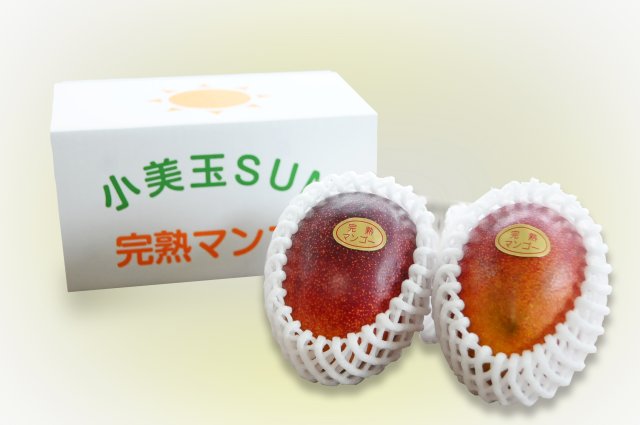小美玉SUN完熟マンゴー1