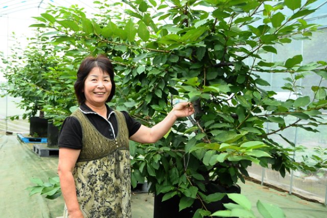 家族全員が新しいことに挑戦2