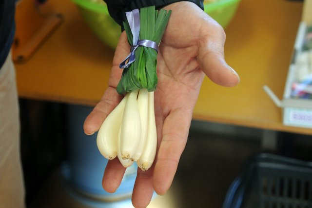 なめがたのエシャレットは生産量トップクラス！