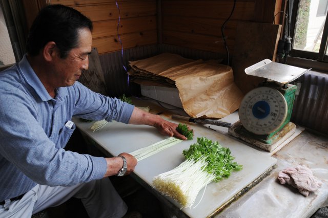 谷和原の切りみつば　選別