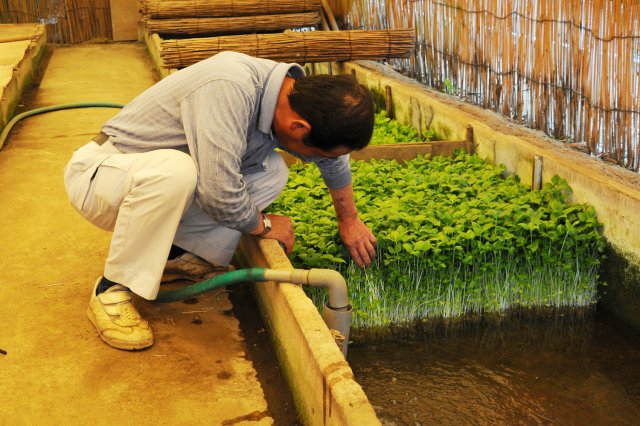 ムロの中のみつばと高津さん