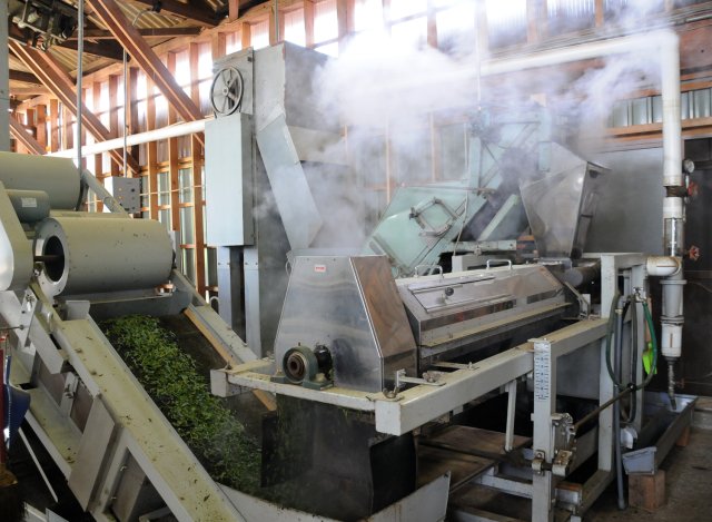 澤田茶園　蒸し