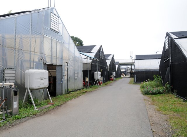 なかのきのこ園　圃場