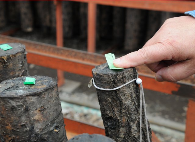 産地ごとにシールを貼る