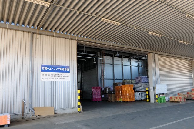 キュアリング定温貯蔵施設