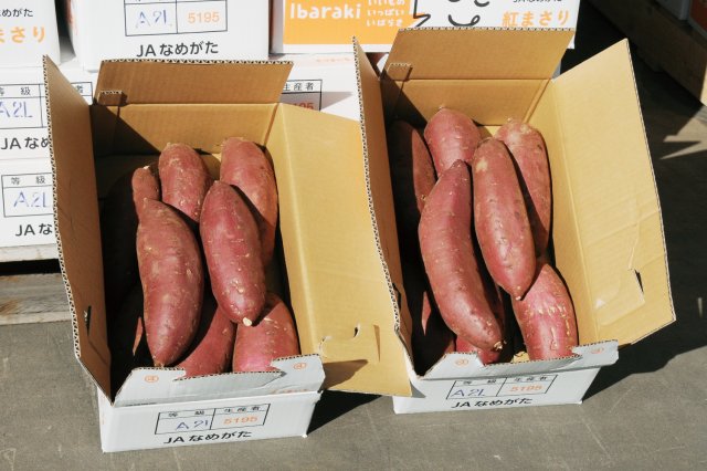 JAなめがた　さつまいも