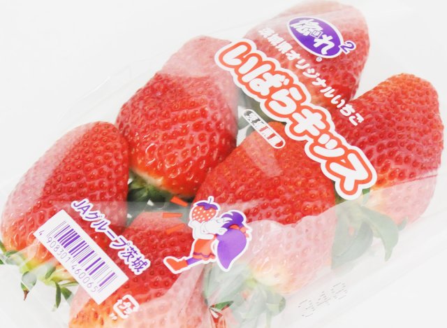 井川さんのいばらキッス