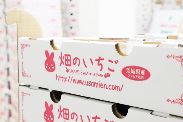 うさみ園のいちご箱