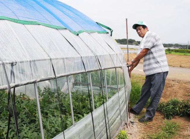 黒こだますいか生産者　大塚さん