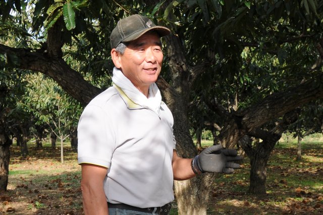 下飯沼栗組合　田口 一彦さん