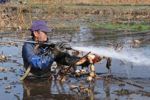 高水圧の水で掘り取る
