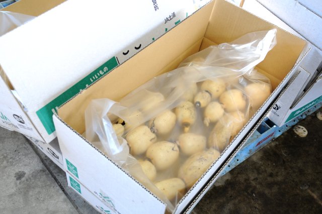 鮮度保持フィルムで包んで出荷