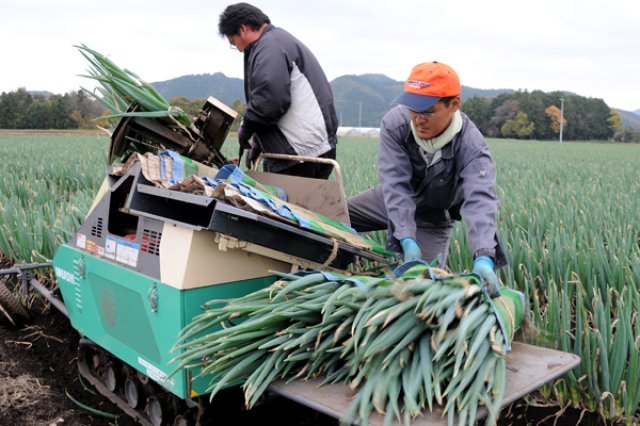 アグリサポートの作業光景