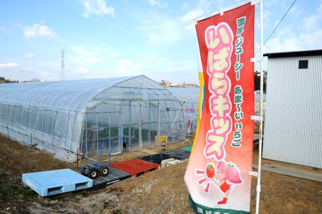 藤枝いちご園外観