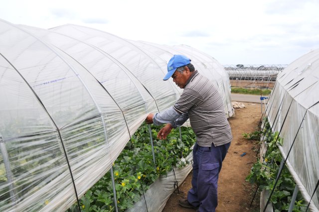 換気は全て手作業で行う