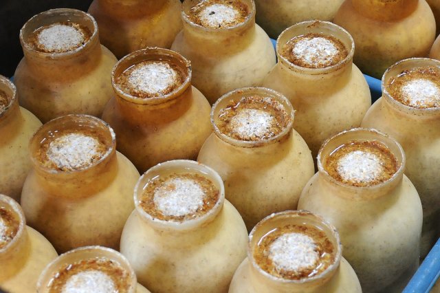 円状にくるっと「菌かき」をして、菌が十分に全体に回ってきた培地にきのこが発生しやすいようにする。