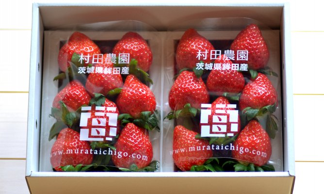 年末年始特別★プレゼント企画　村田農園の【イチゴ】