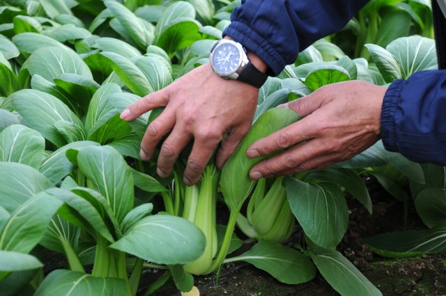 毎日状態を見て周る。