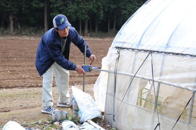 水やりと同じくらい大切な作業「換気」。天候に応じて開け閉めをしてハウス内の温度・湿度を管理する。