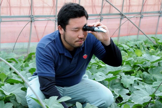 “糖度検査”を実施する農協職員