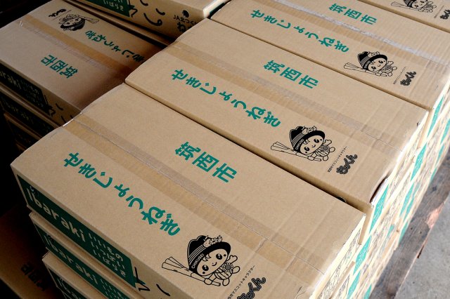 関城ねぎ箱