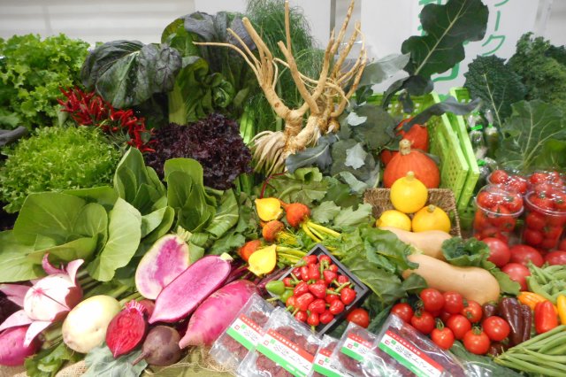 フェルミエ那珂のメンバーが作る野菜