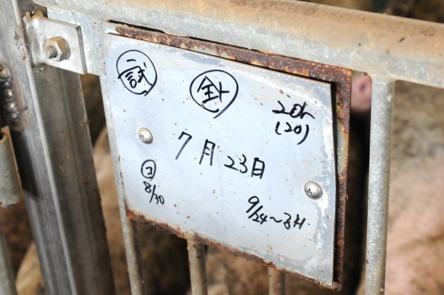 出生日を必ず書いておく。