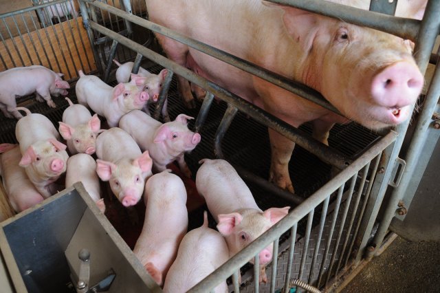 健康状態を常に確認