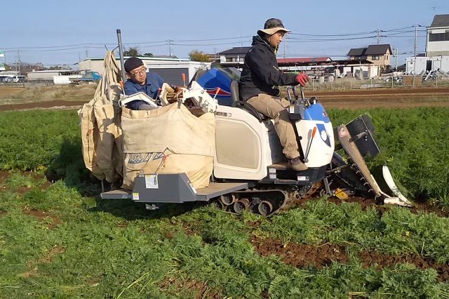 フレキシブルコンテナによる収穫の様子