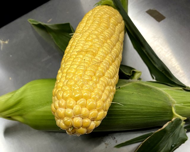 先まで実が入ることも珍しくはないのだとか。