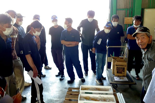 目揃え会の様子