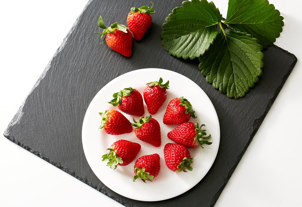 第487回プレゼント企画　茨城県いちご経営研究会【イチゴ】