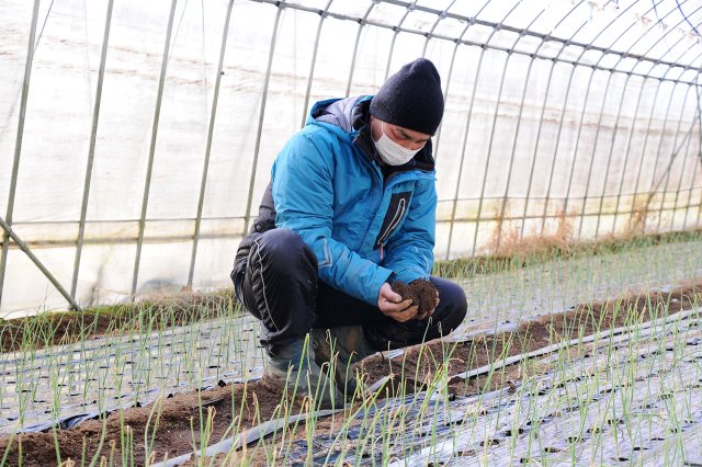 土を確認する大和田さん