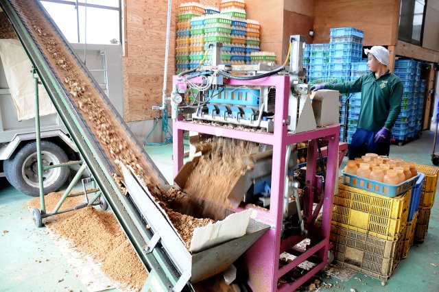 廃培地を肥料にしている様子