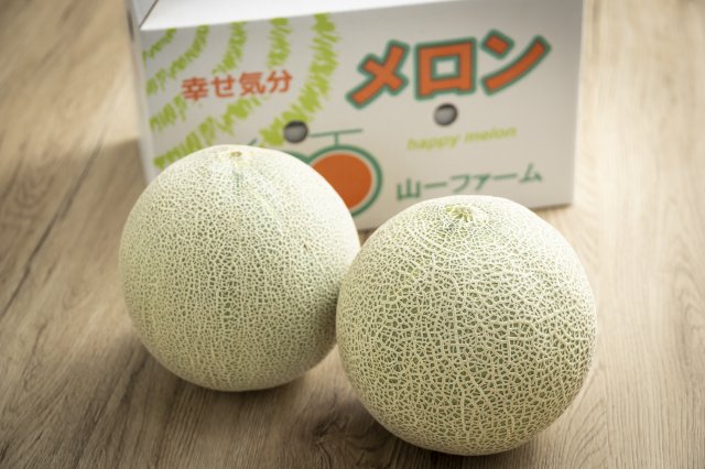 大玉な山一ファームのメロン
