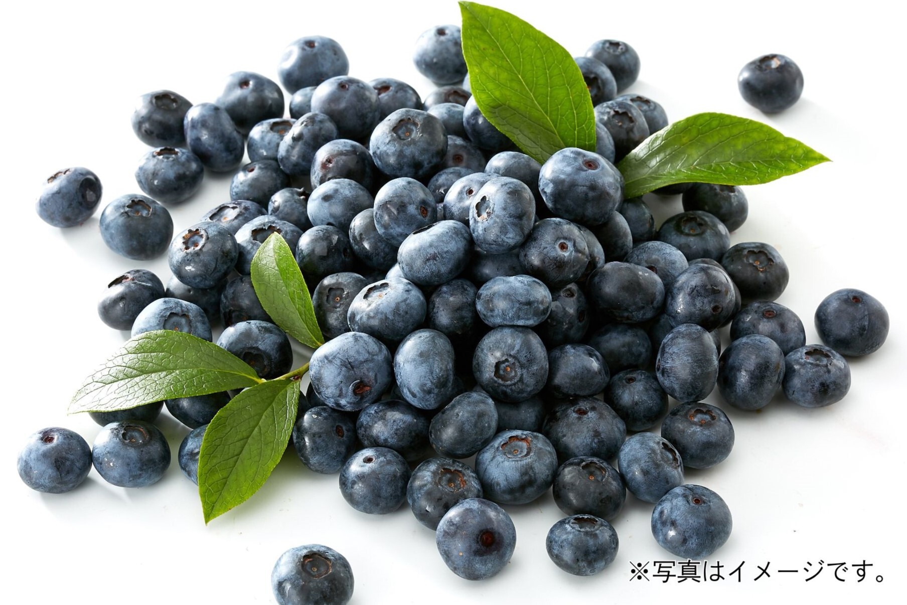 第579回プレゼント企画 つくばブルーベリーゆうファーム【フレッシュブルーベリー】 