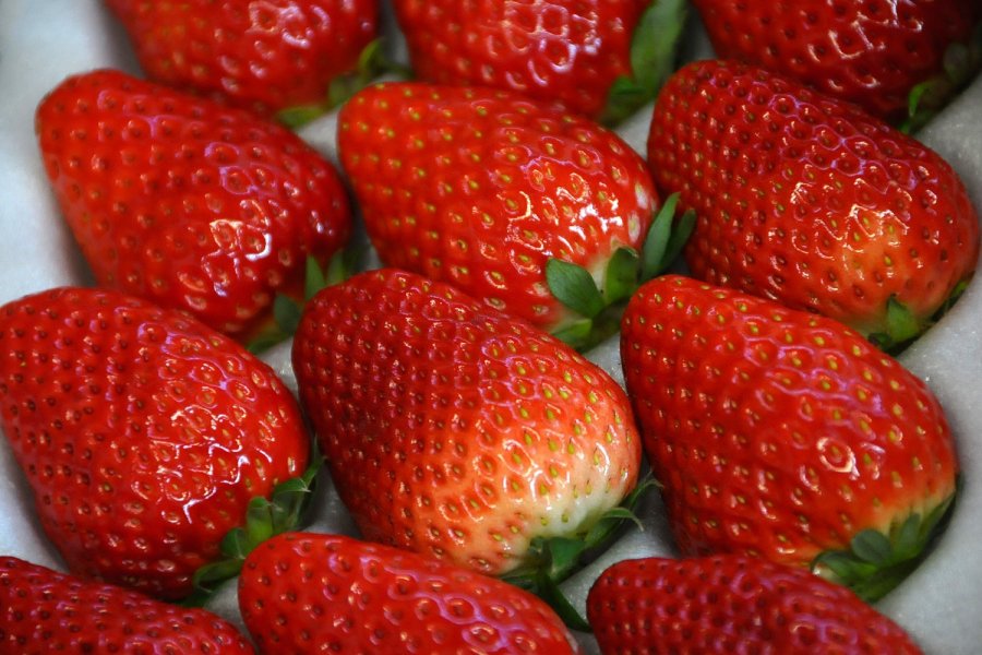 菅谷農園直売所  