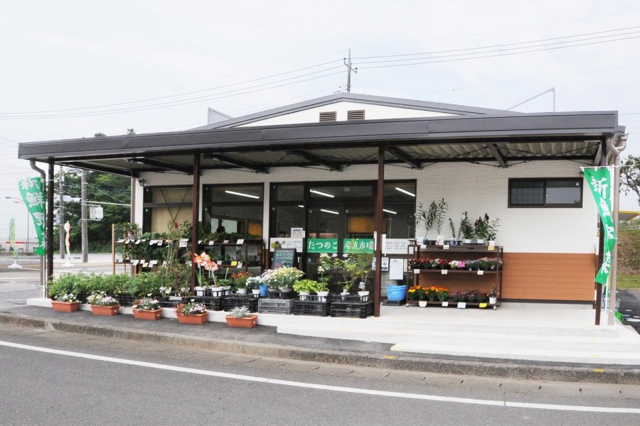 たつのこ産直市場