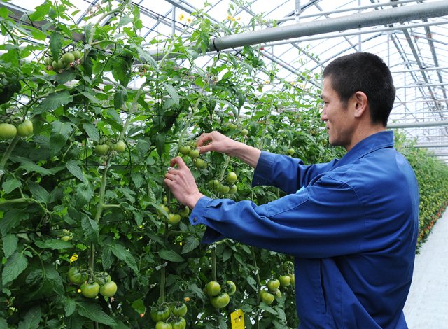 NKKアグリドリーム スタッフ