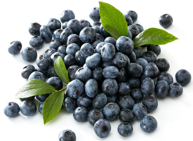 ゆうファームのフレッシュブルーベリー