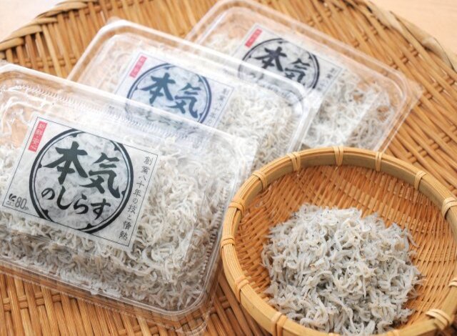 しらす検品作業