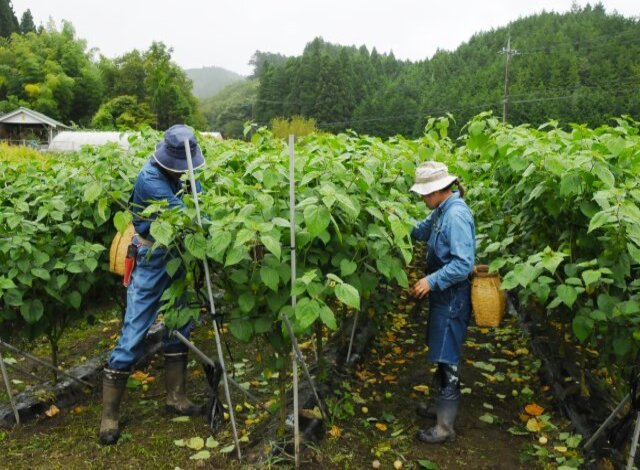 結農実WORKSの笹川夫妻
