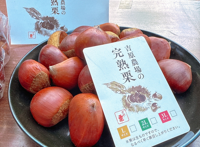 自農場の完熟栗を使用