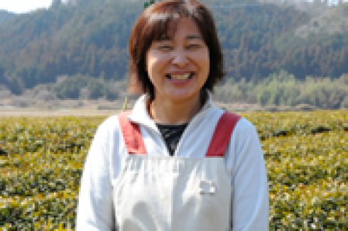 皇室献上茶園　高安園